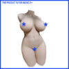 Sex Doll Half Body for Men